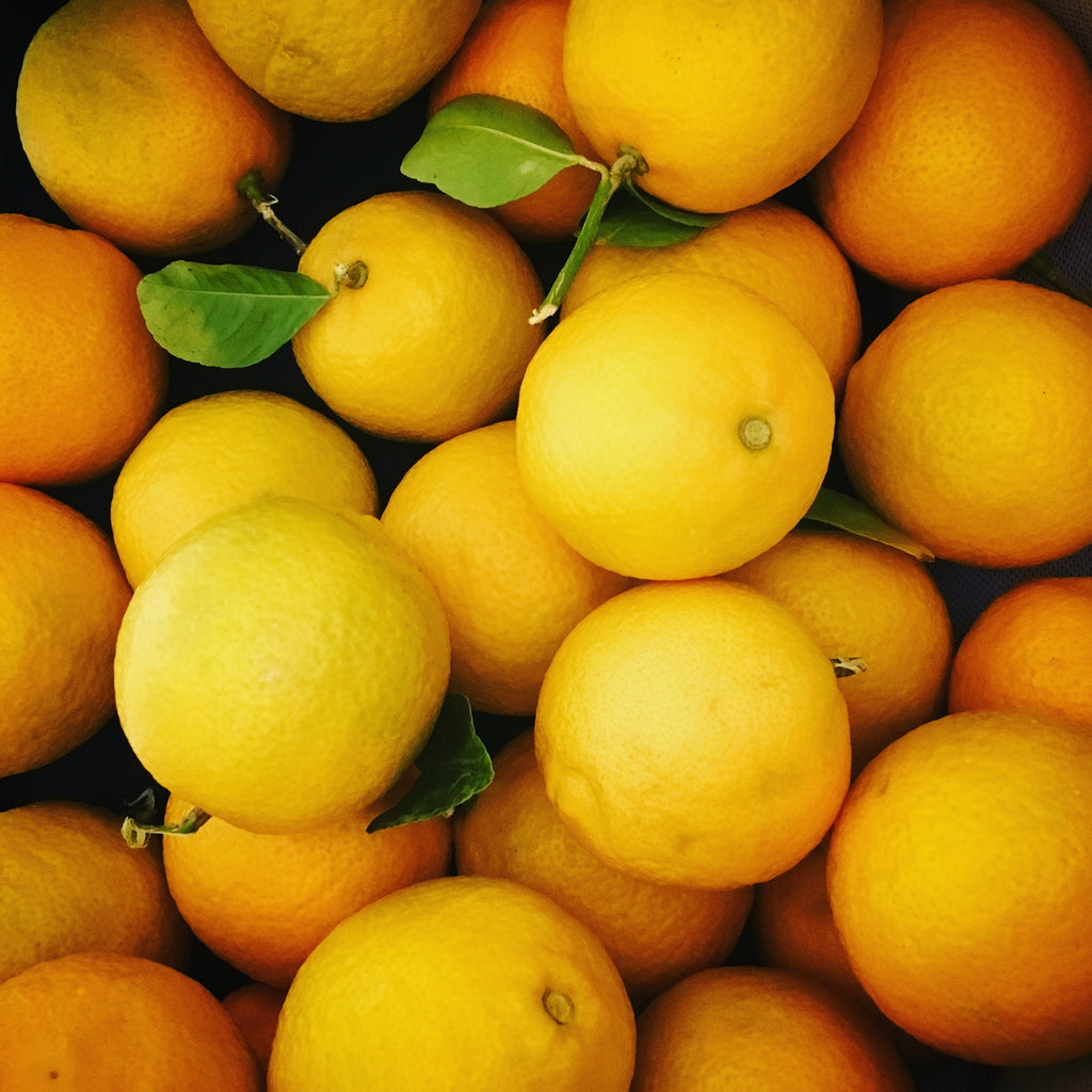 The Citrus Essential Oils Guide