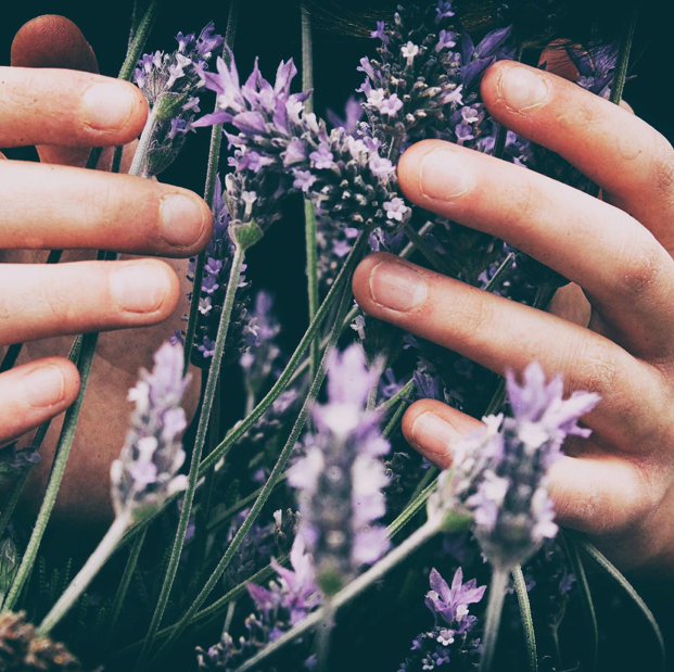 Do essential oils work?