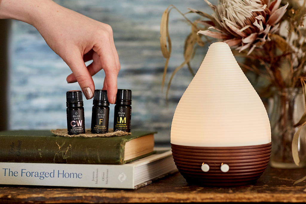 DIFFUSERS & OIL BURNERS