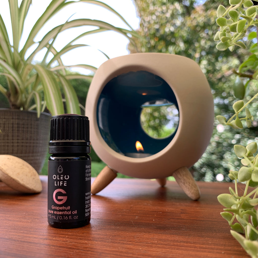 Igloo Oil Burner + Free Essential Oil