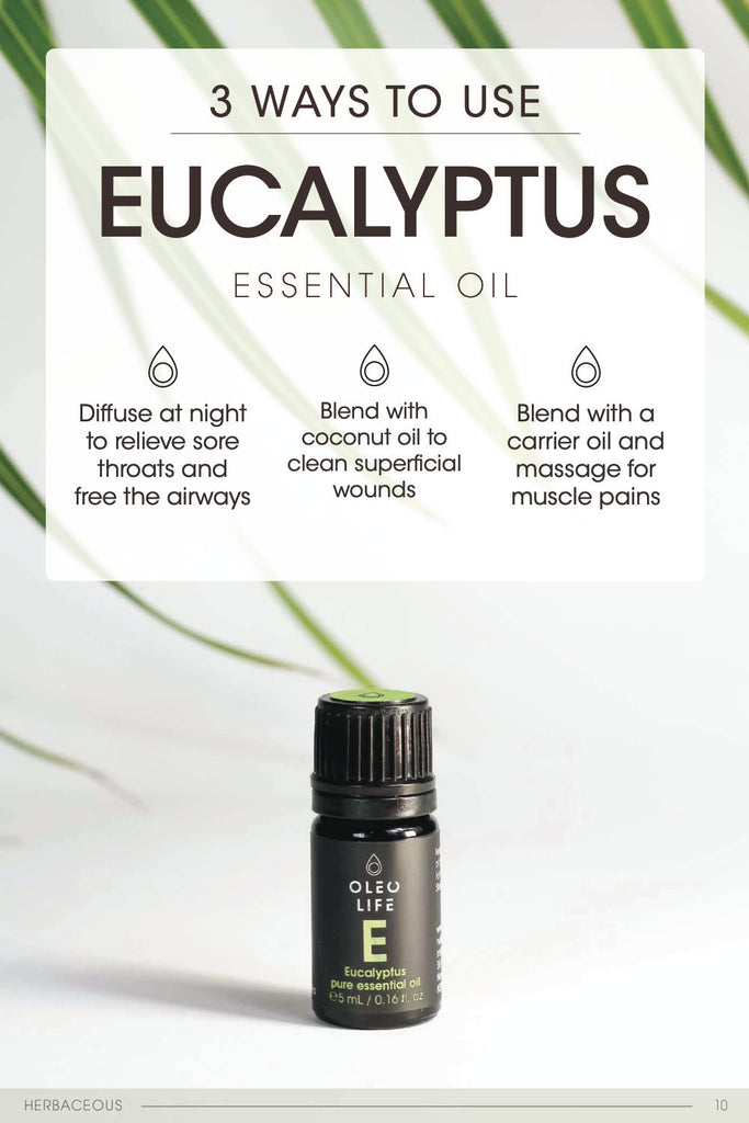 Organic Eucalyptus Essential Oil