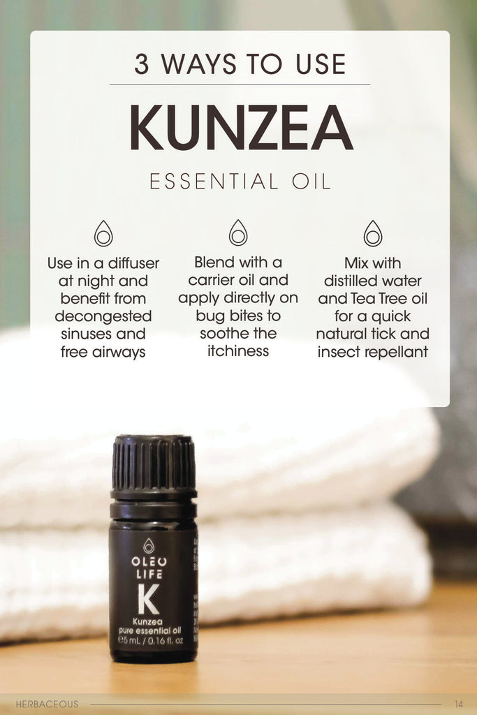 Kunzea Essential Oil