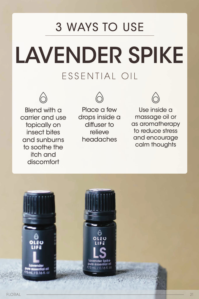 Organic Lavender Spike Essential Oil