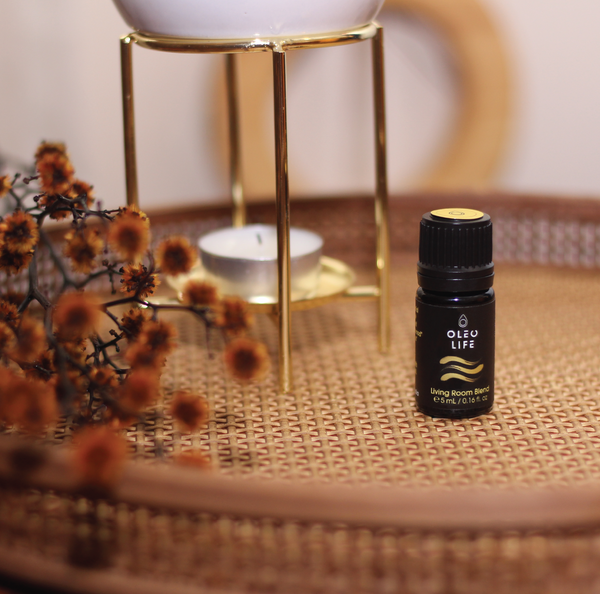 Essential Oil Diffuser Blend for Living room | For modern living rooms ...