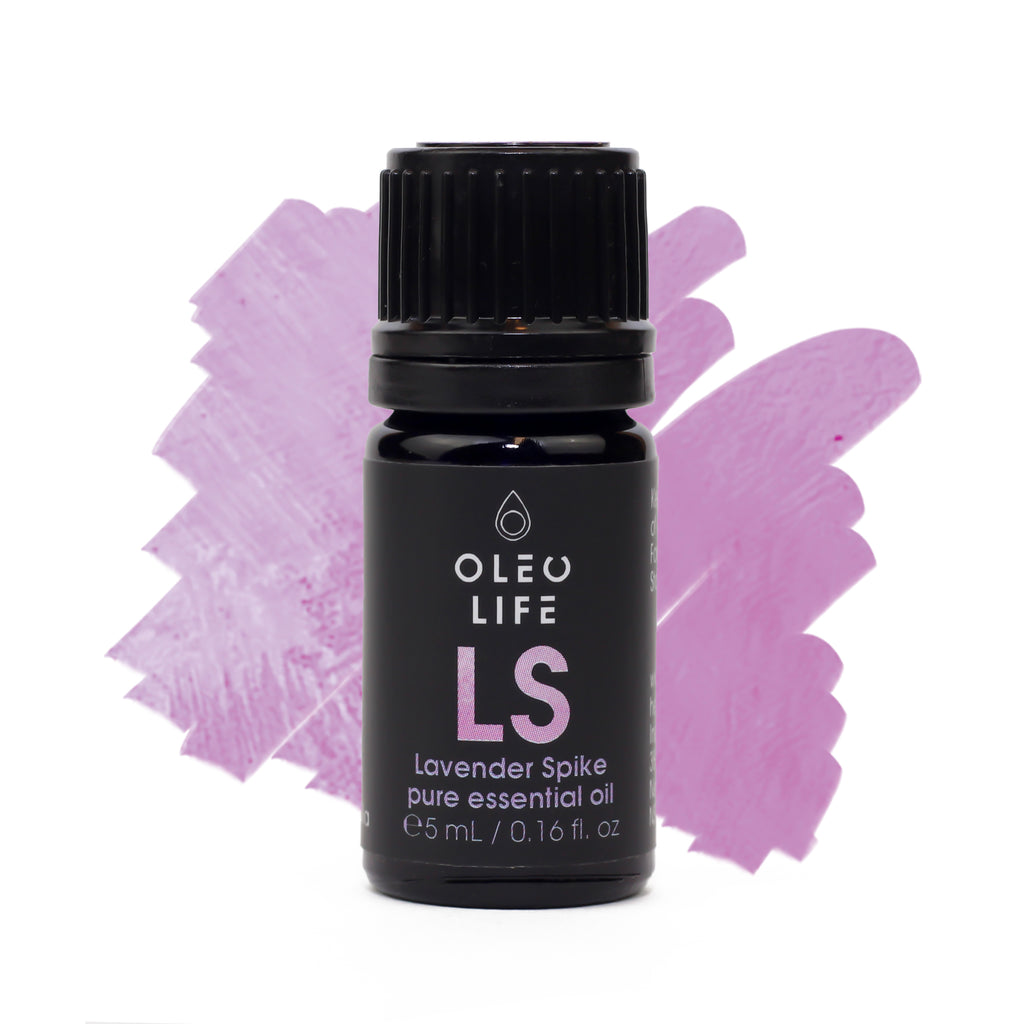 Organic Lavender Spike Essential Oil