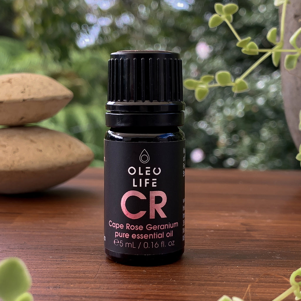 Organic Cape Rose Geranium Essential Oil