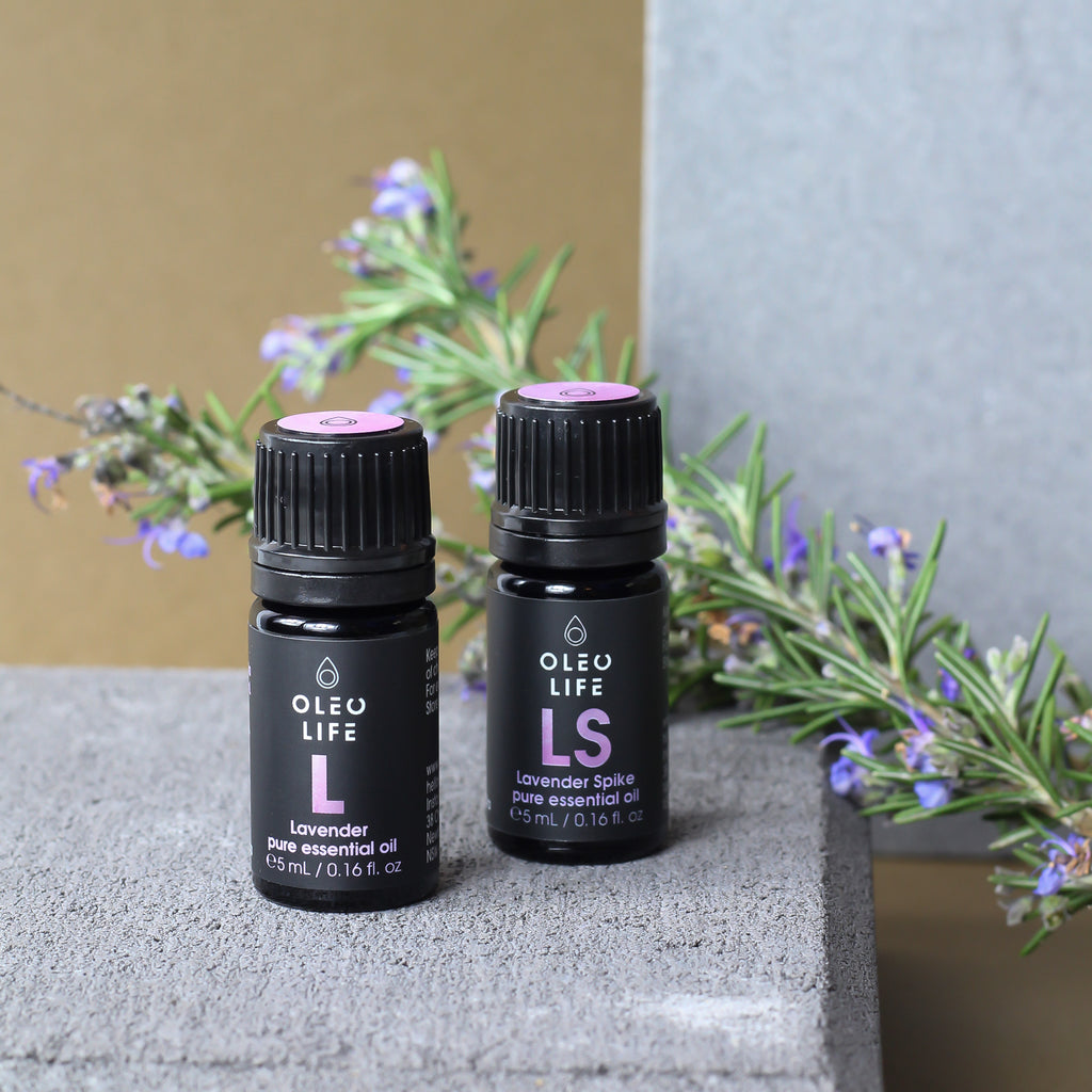 Organic Lavender Spike Essential Oil